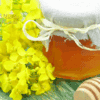 miod-rzepakowy-prosto-od-pszczelarza-2