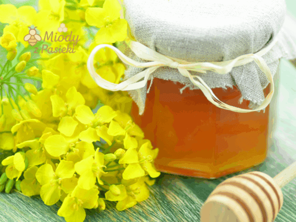 miod-rzepakowy-prosto-od-pszczelarza-2