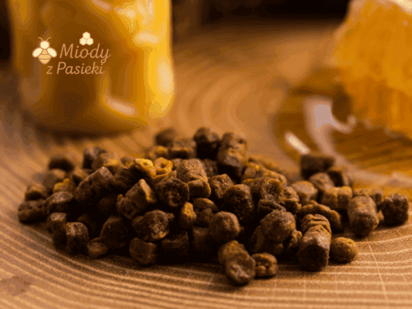 pierzga-pszczela-z-pasieki-w-bieszczadach-1
