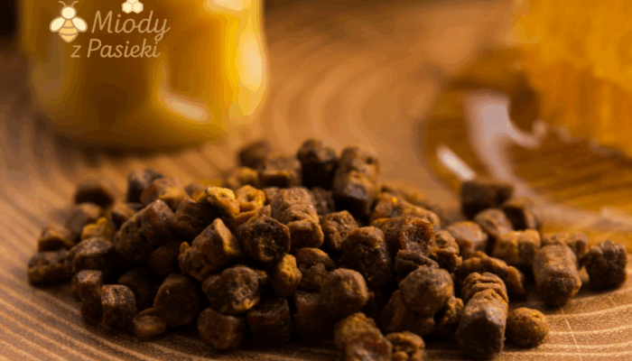pierzga-pszczela-z-pasieki-w-bieszczadach-1