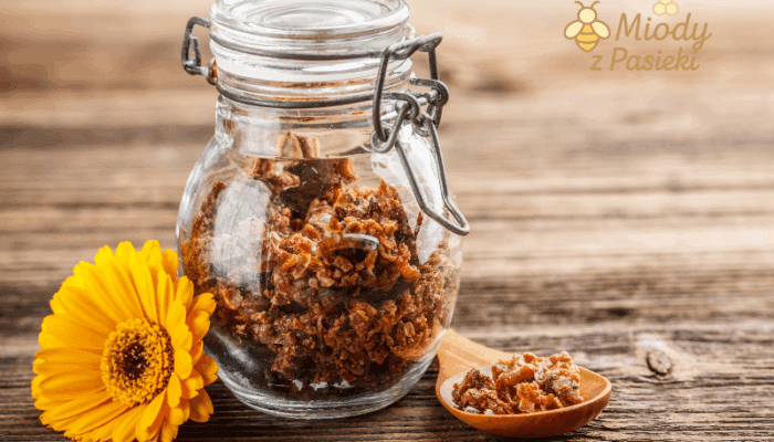 pierzga-pszczela-z-pasieki-w-bieszczadach-2