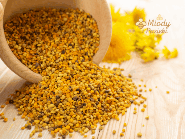 pylek-pszczeli-wielokwiatowy-z-pasieki-1