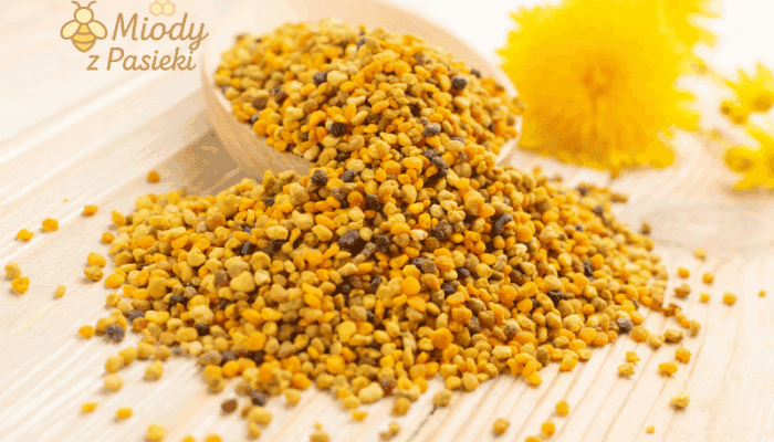 pylek-pszczeli-wielokwiatowy-z-pasieki-2