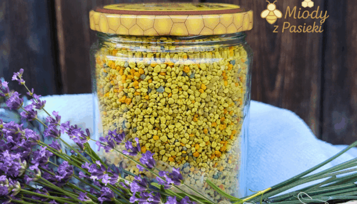 pylek-pszczeli-wielokwiatowy-z-pasieki4