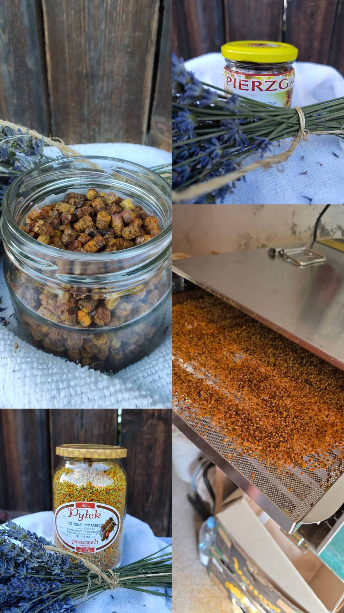 Zdrowie od pszczół